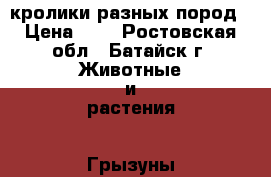 кролики разных пород › Цена ­ 1 - Ростовская обл., Батайск г. Животные и растения » Грызуны и Рептилии   